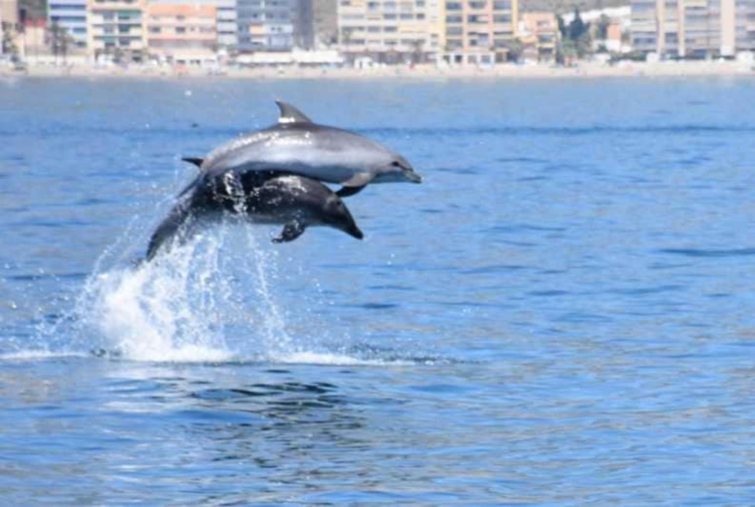Primera Linea Del Mar - Acceso Directo Playa Carihuela ตอร์เรโมลิโนส ภายนอก รูปภาพ